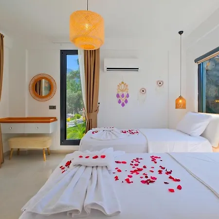 Lemonya Villa