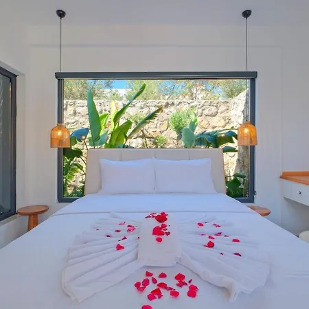 Lemonya Villa *