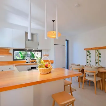 Vila Lemonya Fethiye